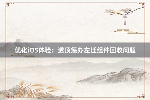 优化iOS体验：透顶惩办左迁组件回收问题