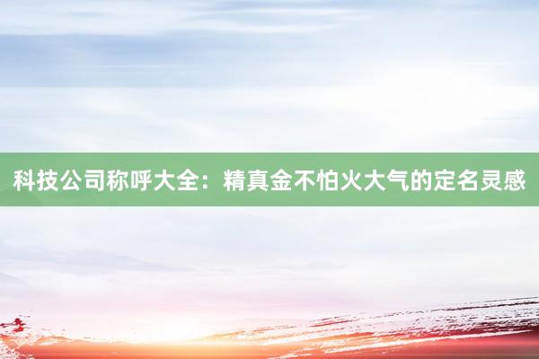 科技公司称呼大全：精真金不怕火大气的定名灵感
